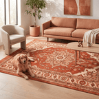 Agrimony Modern Distressed Solid Rust Ember Sand Washable Indoor Outdoor Entryway Rug - RugzellaDigital Print RugRugzellaRugzellaBBB487-RECT-24x47-60x120cmRGZLLA147621Rectangle2' x 3'11" (60x120 cm)RECTANGLE | Agrimony rectangle livingroom