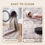 SHARED | Troilite feature clean