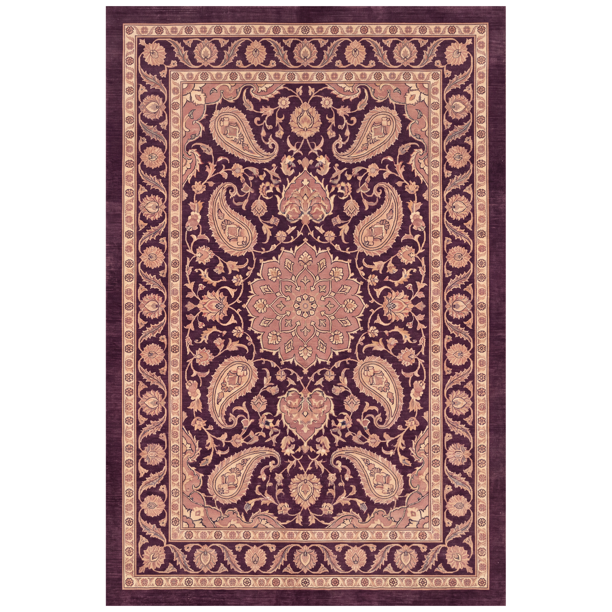 RECTANGLE | HERO | Oxeye rectangle