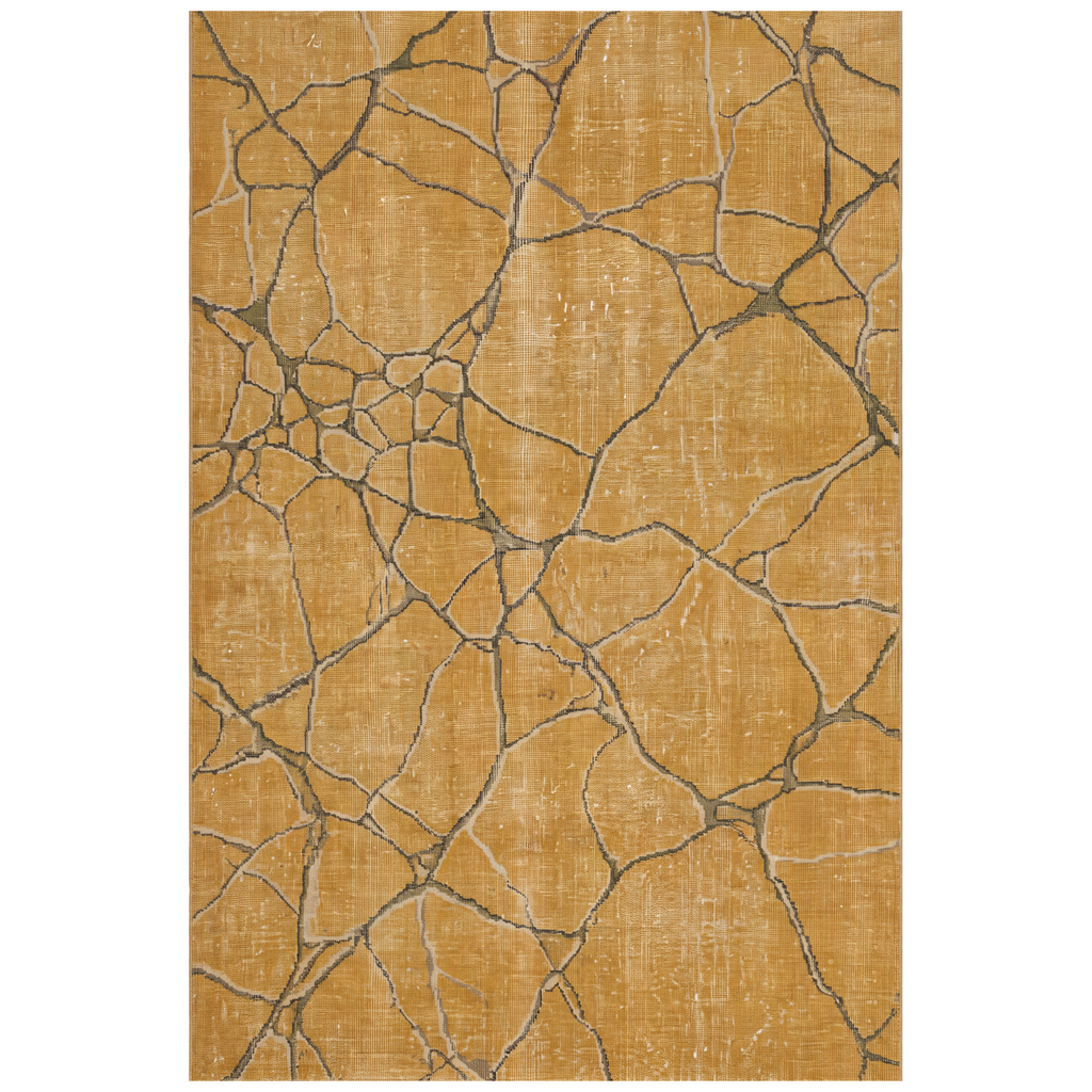 RECTANGLE | HERO | Driscoll rectangle