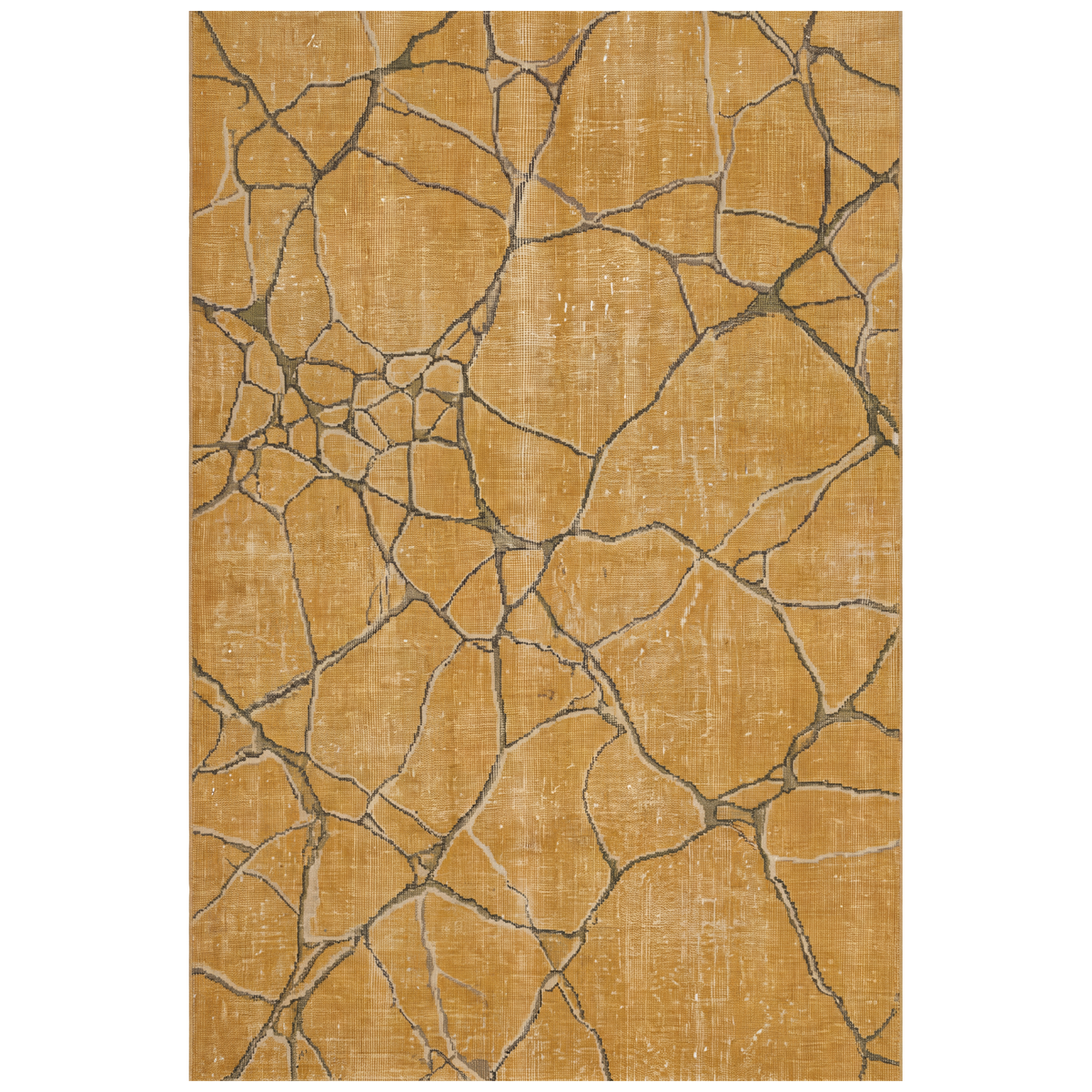 RECTANGLE | HERO | Driscoll rectangle