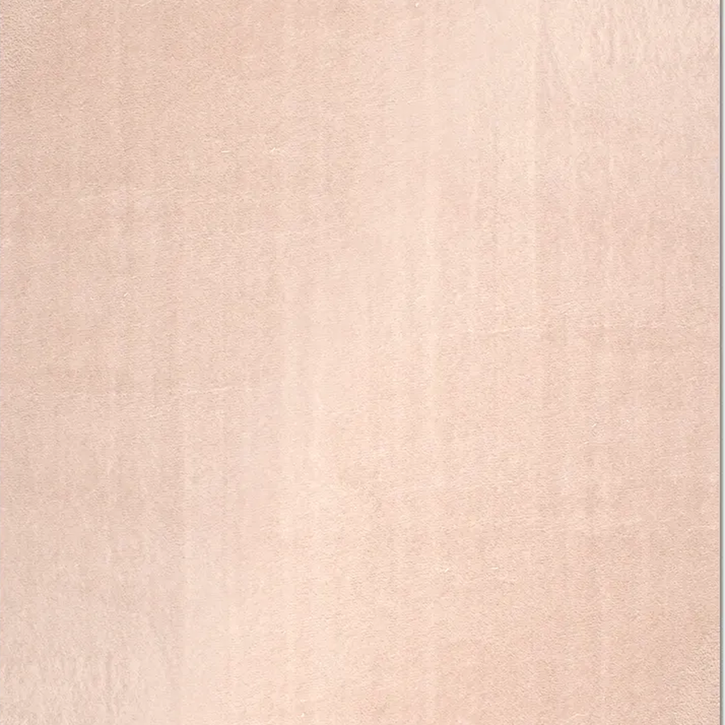 SHARED | Gallery Beige Solid Modern Machine Woven Plain Soft Living R photo 9