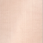 SHARED | Gallery Beige Solid Modern Machine Woven Plain Soft Living R photo 9