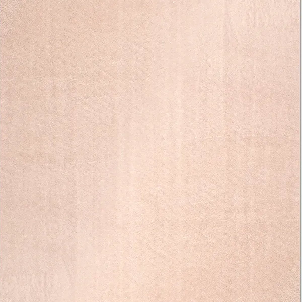 SHARED | Gallery Beige Solid Modern Machine Woven Plain Soft Living R photo 9