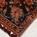 SHARED | Dawnlight Rust Black Persian Style Medallion Distressed Mach photo 5