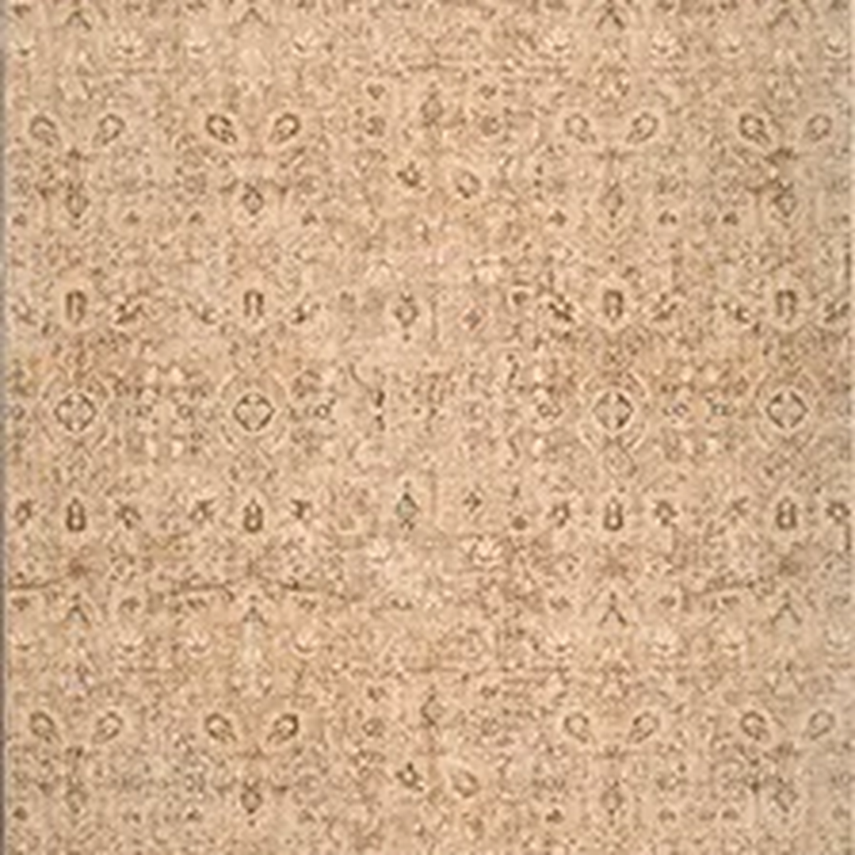 SHARED | Pantile Distressed Persian Style Traditional Beige Brown Mac photo 6