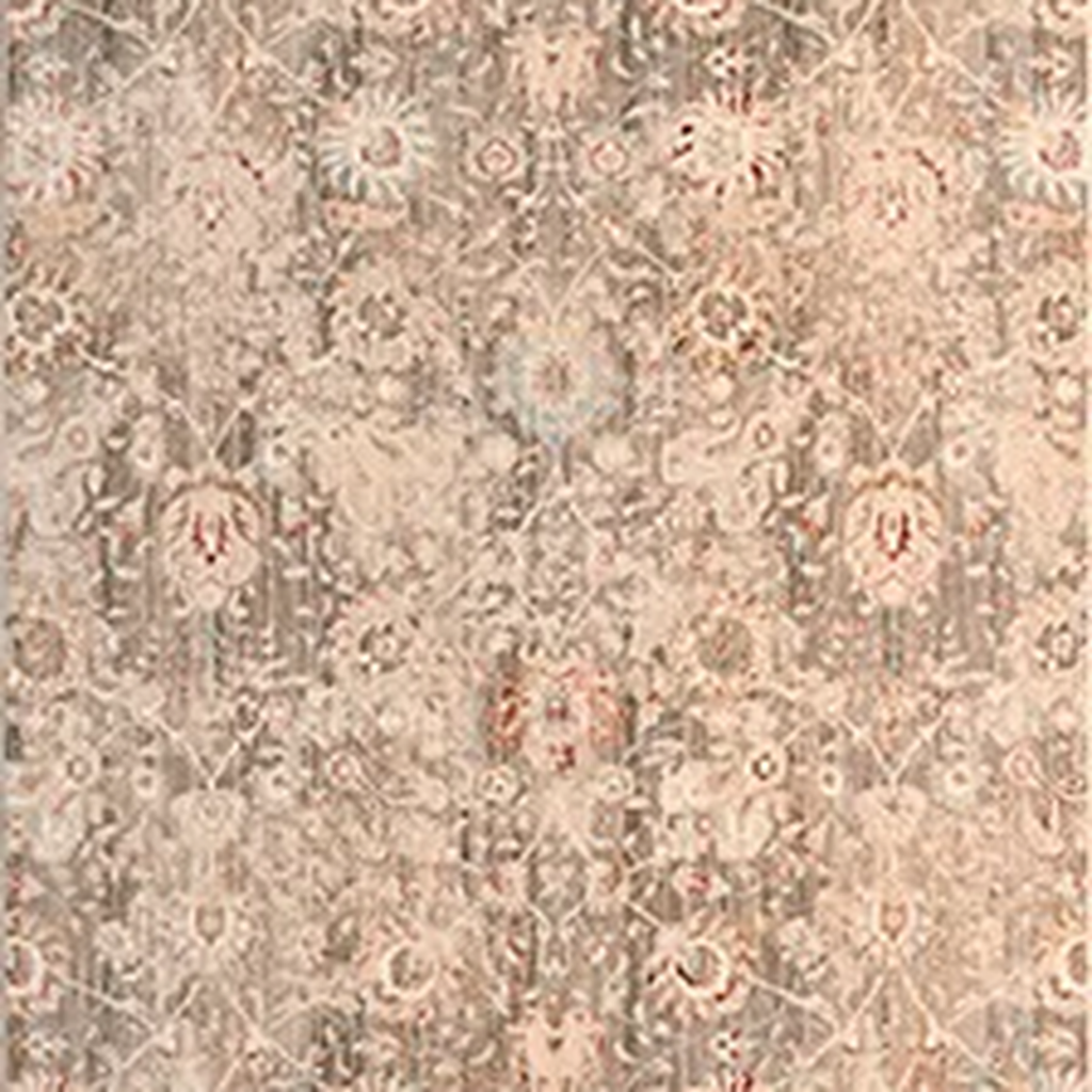 SHARED | Pergola Distressed Persian Style Floral Taupe Cream Rust Mac photo 6