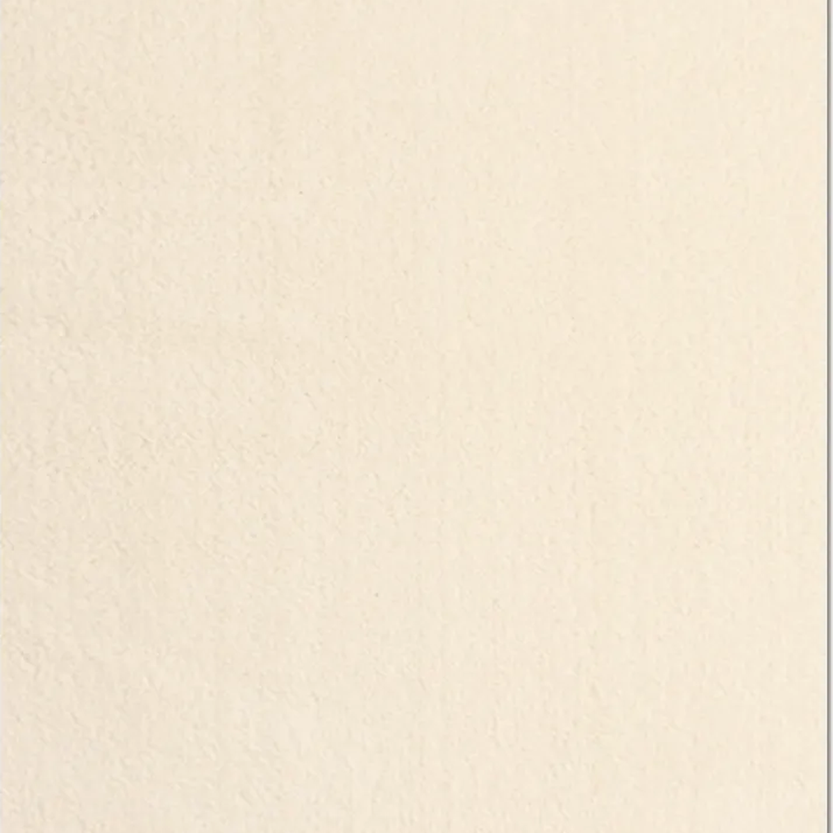 SHARED | Starlight Cream Solid Shag Scandinavian Machine Woven Living photo 7