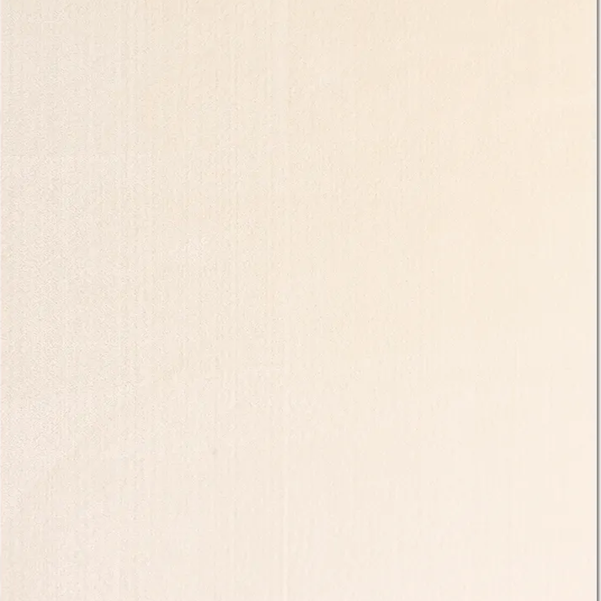 SHARED | Esplanade Cream Solid Scandinavian Plush Machine Woven Livin photo 8
